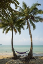 Picturesque beach with coconut palms and hammock, Klong Prao Beach, Ko Chang, Koh Chang, Mu Ko