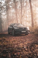 A Volkswagen in a peaceful atmosphere in a foggy, autumnal forest with incidence of light, electric