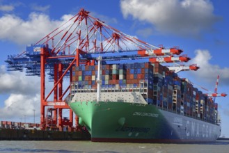 The container ship CMA CGM Concorde in JadeWeserPort unloading the containers., LNG container ship,