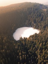 A bird's eye view of a lake surrounded by dense forests in a peaceful landscape, Glaswaldsee, Bad
