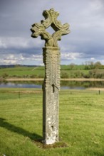 Cross in St. Mary's Augustinian Priory, Augustinian Monastery St. Mary, Devenish Island, Lough