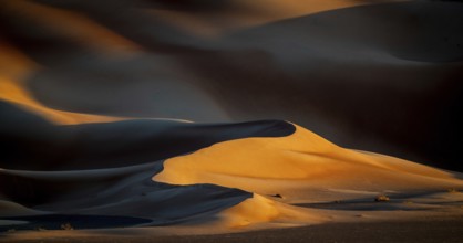 Sand dunes in the Rhub al Khali desert, empty quarter, largest sandy desert in the world, Oman