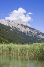 Haldensee, Tannheimer Tal, behind it the Rote Flüh, 2108m, Tannheimer Berge, Allgäu Alps, Tyrol,