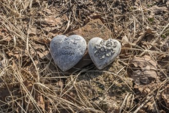 Hearts with inscription, natural burial grave site, Friedwald, Reinhardswald Forest, Weser Uplands,
