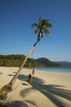Sandy beach beach with coconut palms, Haad Khlong Hin Beach, Koh Kood, Koh Kut, Gulf of Thailand,
