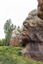 Natural monument Kelchsteine near Oybin, viewed from the side the Kelchstein guardians look like
