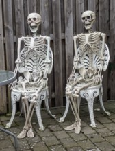 Garden decorations, two skeletons sit on chairs against a wooden plank in a garden in Ystad, Skåne