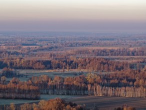 Landscape in the Drömling UNESCO Biosphere Reserve in the Altmark at dawn on a cold spring day. The