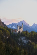 Romantic Neuschwanstein Castle in front of picturesque Alps, Schwangau near Füssen, Ostallgäu