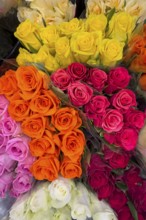 Top view of offer arrangement of roses in five bouquets Bouquets of roses with pink pink yellow