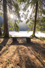 A quiet seating area in the forest with sunlight, view of a lake, calming atmosphere, Glaswaldsee,