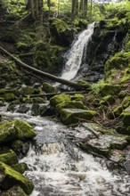 Waterfall, Windberg Waterfall, St Blasien, Southern Black Forest, Black Forest, Germany