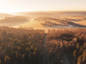Aerial view of a road through a forest and past fields in the soft morning light, Gechingen