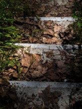 Tree leaves fallen on the steps of a staircase .Nevers. Nievre departement. France