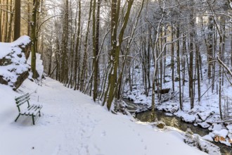 Hiking trail in the snow in the Wesenitz valley along the Wesenitz, Dürrröhrsdorf-Dittersbach,