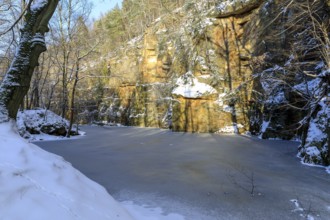 Winter at the quarry lake in Wesenitztal near Elbersdorf, Dürrröhrsdorf-Dittersbach, Saxony,