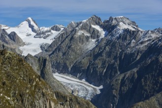 View from the Eggishorn to the Fiescher Glacier in the Aletsch Arena, Glacier, Tourism, Travel,