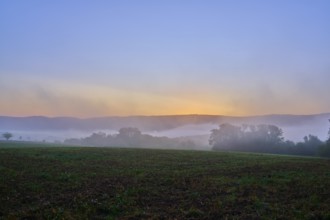 Dawn over a foggy cereal field with hills and trees in the background in a quiet atmosphere,