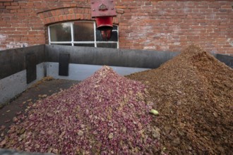 Pomace, the rest of the pressed fruit in a cider mill, Mecklenburg-Vorpommern, Germany