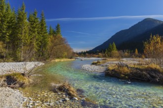 Isar valley nature conservancy area. The wild Isar river flows through its gravel bed past