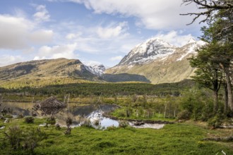 Mountain peaks, Laguna Victoria, Provinz Tierra del Fuego, Argentina