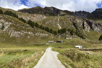 Sambuco valley, Vale Sambuco, behind Alpe Campo la Torba -Dazio and Ticino mountains, near Fusio,