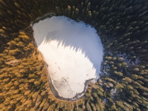 A frozen lake in the middle of a dense forest, photographed from the air, Glaswaldsee, Bad