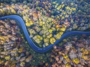 Winding country road through a forest with autumn-coloured trees, Swabian Alb in autumn. Aerial