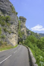 Tunnel through rock tower, road through the Tarn Gorge, Gorges du Tarn Causses, Département Lozère,