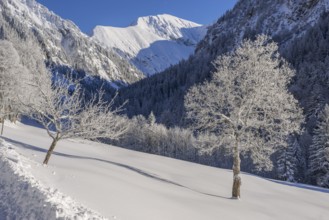 Winter landscape, Dietersbachtal near Oberstdorf, behind it the Rauheck, 2384m, Allgäu Alps,