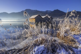 Boat huts, icy shore, lake, morning light, fog, snow, winter, mountains, Lake Kochel, Schlehdorf,