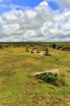Mên-an-Tol, Men an Tol, perforated stone and menhirs in a field, Bronze Age megalith, menhirs,