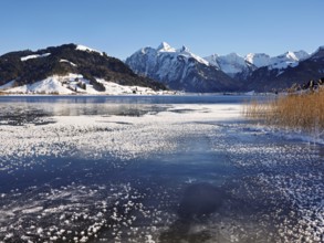 Frozen Sihlsee, reservoir, behind the snow-covered mountains Flübrig and Druesberg, Euthal, Canton