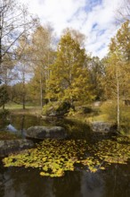 Fish pond with granite rocks in the Blockheide nature park Park near Gmünd, Waldviertel, Lower