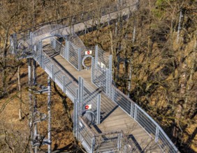 Treetop path on the historic site of the former tuberculosis sanatorium in Beelitz, Brandenburg,