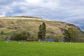 Farm and mountains, Loch Earn, Southern Highlands, Scotland, United Kingdom