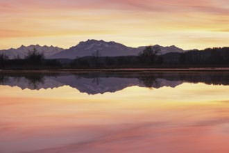 Pilatus reflected in the flooded nature reserve in the evening light, Reussspitz, Hünenberg, Canton