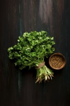 Bunch of fresh Cilantro, coriander seeds, on a dark wooden table, close-up, top view, no people.