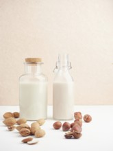 Homemade vegetable nut drinks. Glass bottles, almonds and hazelnuts. Vegan milk, lactose free