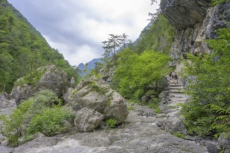 Hiking trail at the Pozze Smeraldine, Tramonti di Sopra, Province of Pordenone, Italy