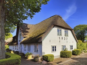 Uthlandfriesian house, typical, small thatched-roof houses with gables also called Frisian house,