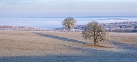 View of the Unstrut valley in winter, fields, trees and forests covered with hoarfrost, fog in the