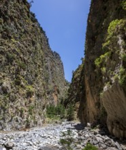 Hiking trail through the Samaria Gorge, south coast, Crete, Greece