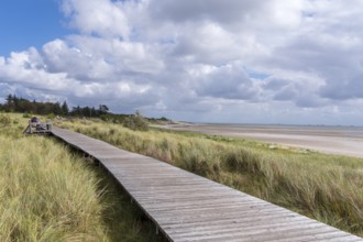 Wooden footbridge, in the dunes between Nieblum and GrevelingInsel, Föhr, North Frisia,