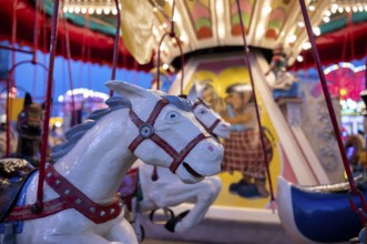 Horses on children's carousel, rides, neon lights, Cannstatter Wasen, funfair, spring festival,