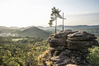 Sandstone rock with pine tree and summit cross, Rötzenfelsen, sunrise, Gossersweiler-Stein,