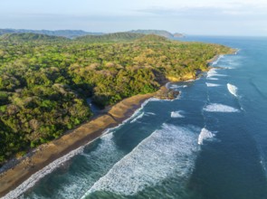 Aerial view, rainforest, sandy beach and coast with waves, Playa Cocalito, Puntarenas, Costa Rica