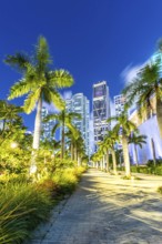 Miami skyline with skyscrapers at Maurice A. Ferré Park at night in Miami, USA