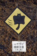 Curious shield, warning against Japanese Giant Squirrel (Petaurista leucogenys), near Kariuzawa,