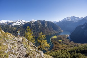 Mountaineer on an exposed mountain hiking trail, Rinnkendlsteig, view of the Königssee, autumnal